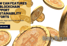 How can features of blockchain support sustainability efforts